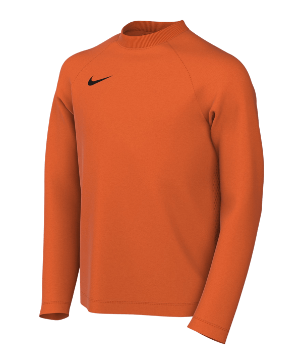 Nike Park VIII Trikot langarm Kids Orange F819 - orange