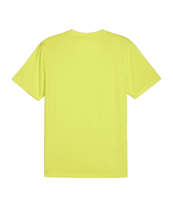 PUMA teamFINAL Trikot Grün F30 - tuerkis
