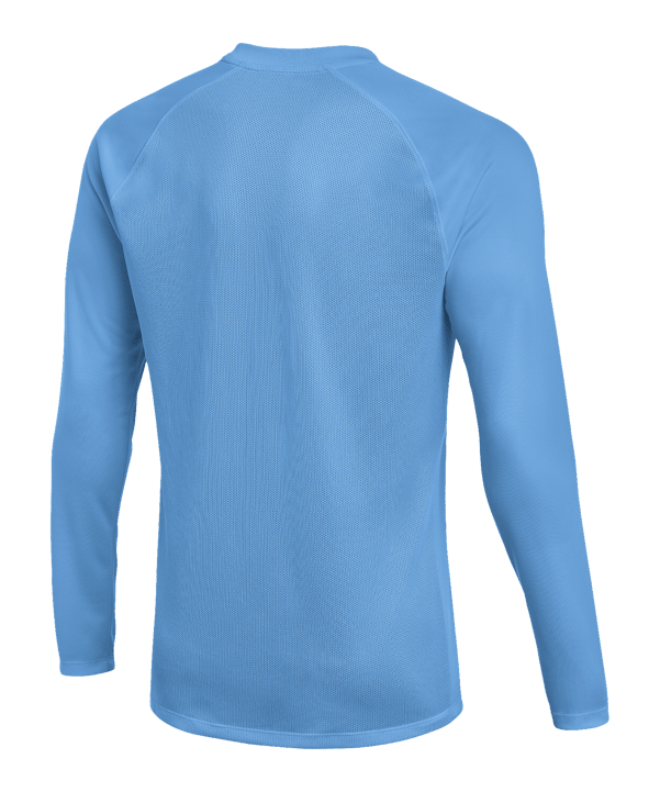 Nike Park VIII Trikot langarm Blau F412