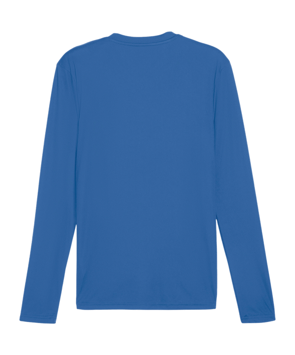 PUMA TeamGOAL Baselayer Longsleeve Blau F02 - blau