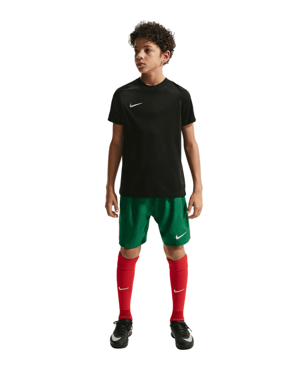 Nike Park VIII Trikot Kids Schwarz F010 - schwarz