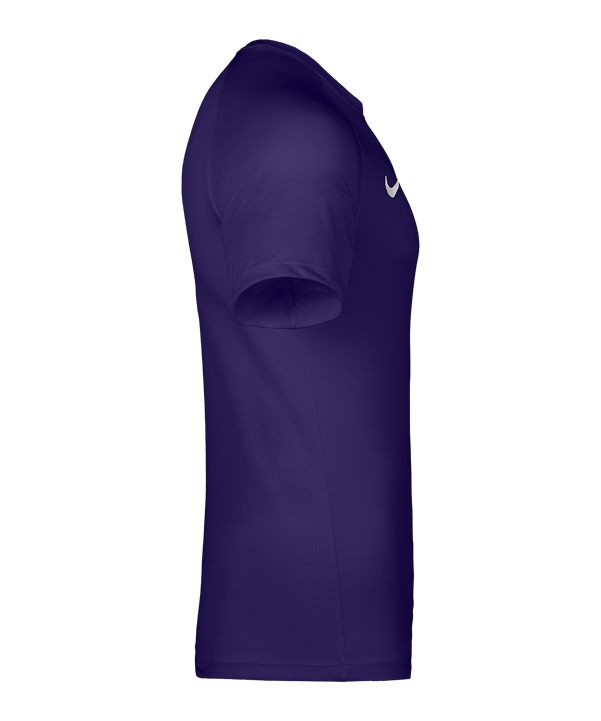 Nike Park VIII Trikot Kids Lila F547 - lila