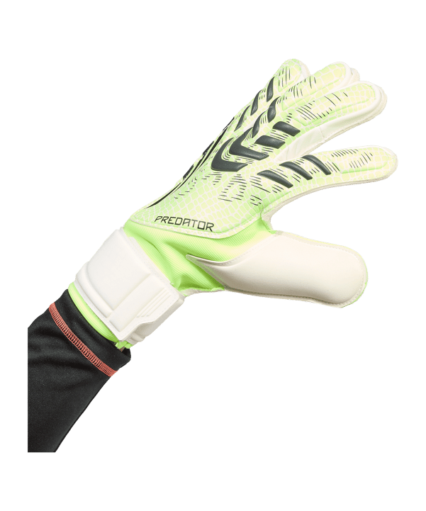 adidas Predator Match Torwarthandschuhe Grün - gruen