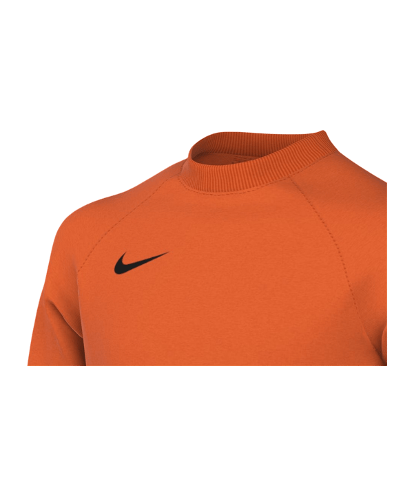 Nike Park VIII Trikot langarm Kids Orange F819 - orange