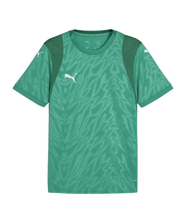 PUMA TeamCUP Trikot Grün F05 - gruen