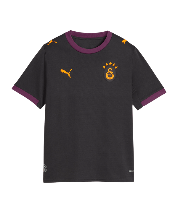 PUMA Galatasaray Istanbul Replica Trikot Away 2026/2027 Kids Grau F05 - grau