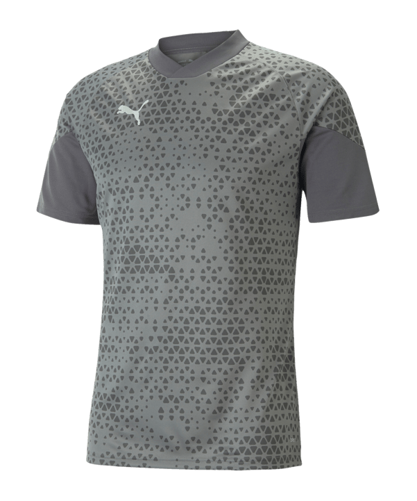 PUMA teamCUP Trainingsshirt Grau F13 - grau