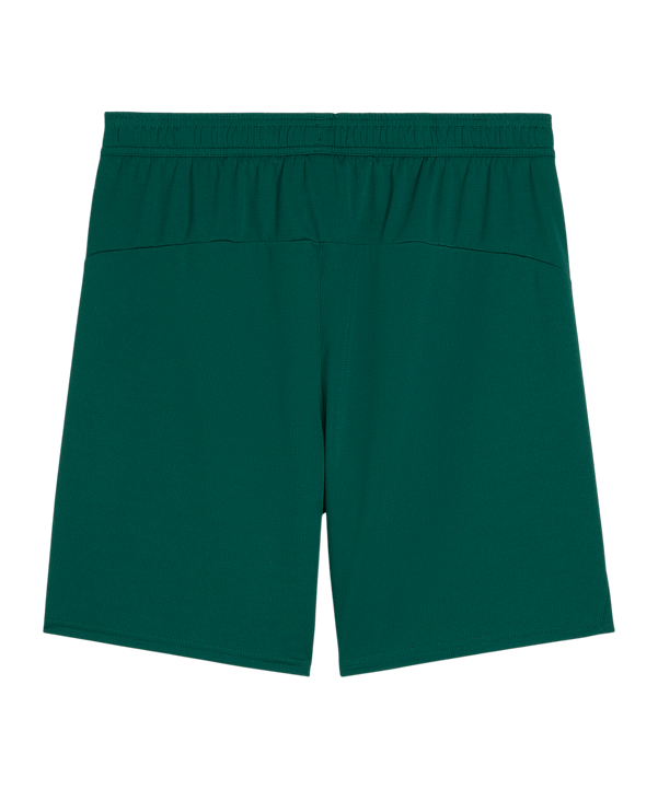 PUMA Portugal Short Grün F10 - gruen