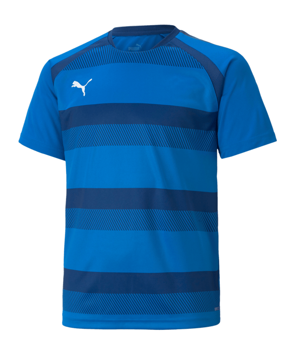 PUMA teamVISION Trikot Kids Blau F02 - blau