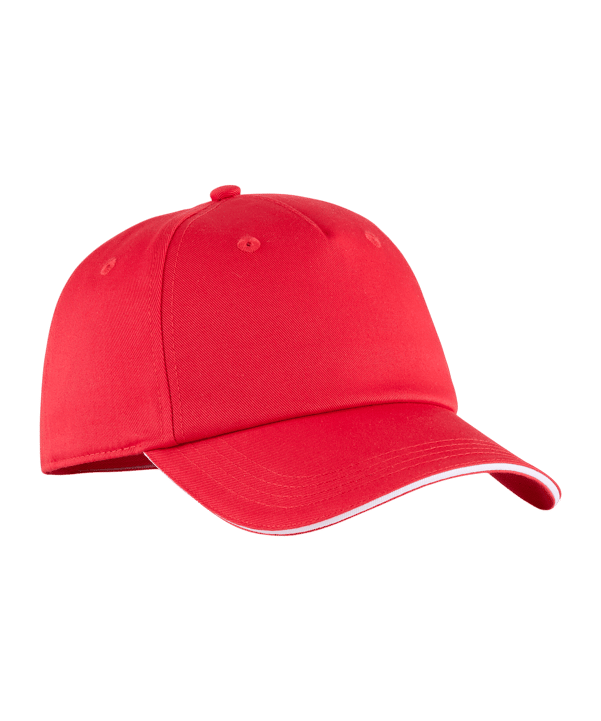 PUMA TeamADDITIONS Cap Rot F01 - rot