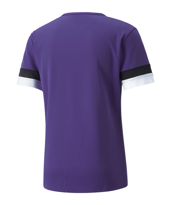 PUMA teamRISE Trikot Lila F10 - lila