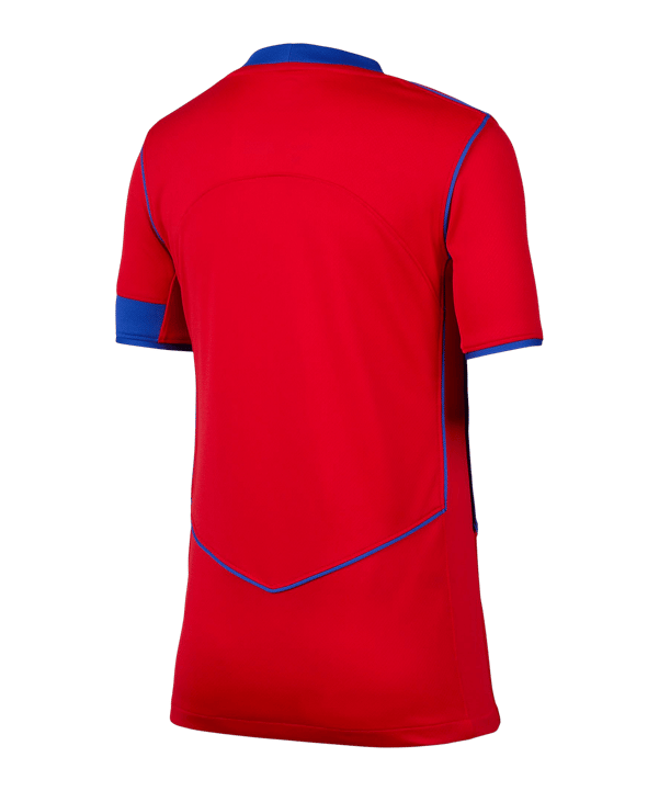 Nike Paris Saint-Germain Trikot 3rd 2025/2026 Kids Rot F680 - rot