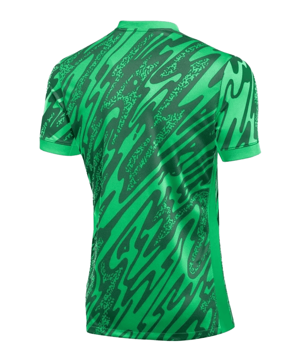 Nike Gardien V Torwarttrikot Grün F329 - gruen