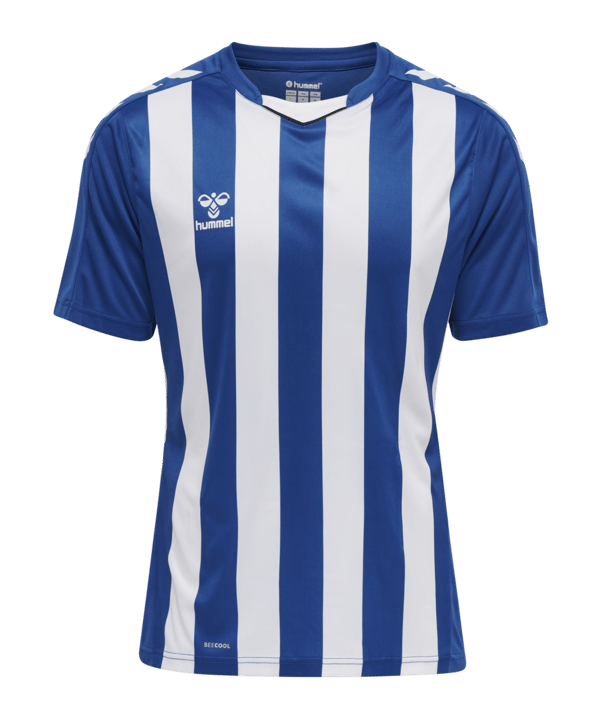 Hummel hmlCORE XK Striped Trikot Blau Weiss F7691 - blau