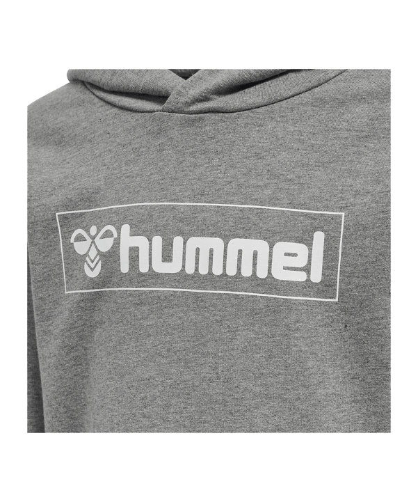 Hummel Box Hoody Kids Grau F2800 - grau