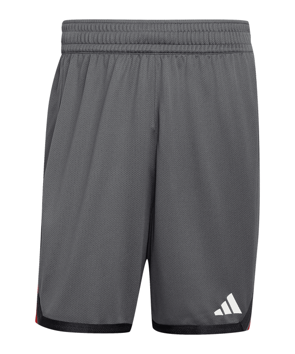 adidas DBB Deutschland Training Short Grau - grau