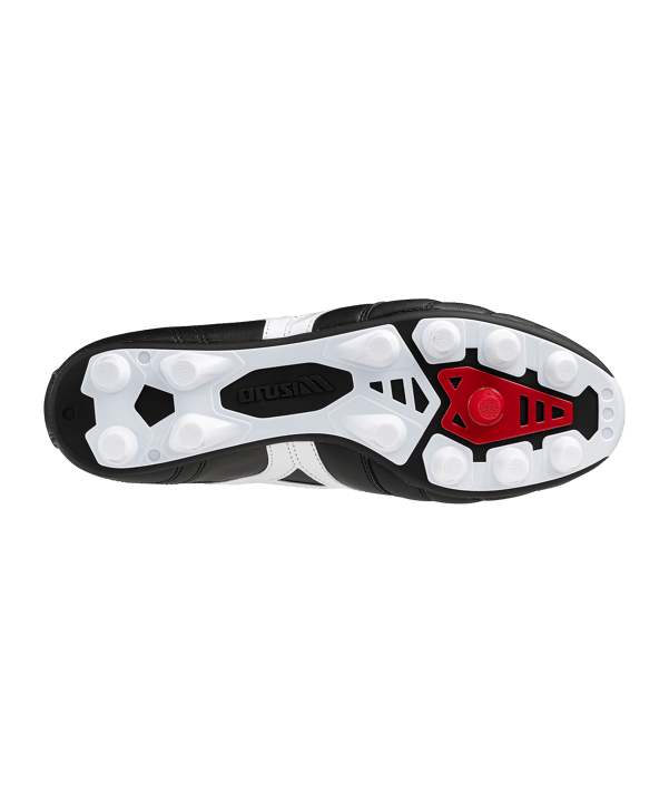 Mizuno Morelia II Pro FG Schwarz F01 - schwarz