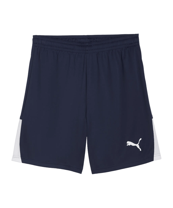 PUMA teamLIGA26 Short Blau F06 - blau