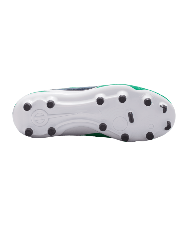 Nike Legend 10 Academy LV8 FG/MG Fear Nothing Kids Grün F300 - gruen