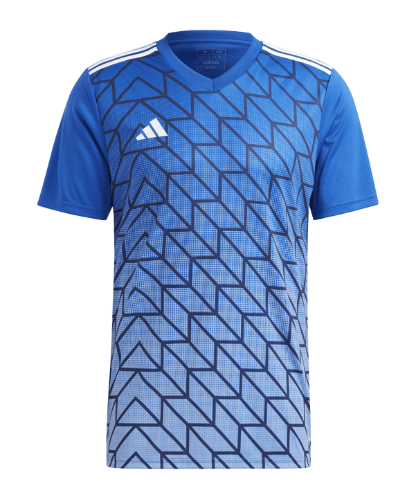 adidas Team Icon 23 Trikot Blau - blau