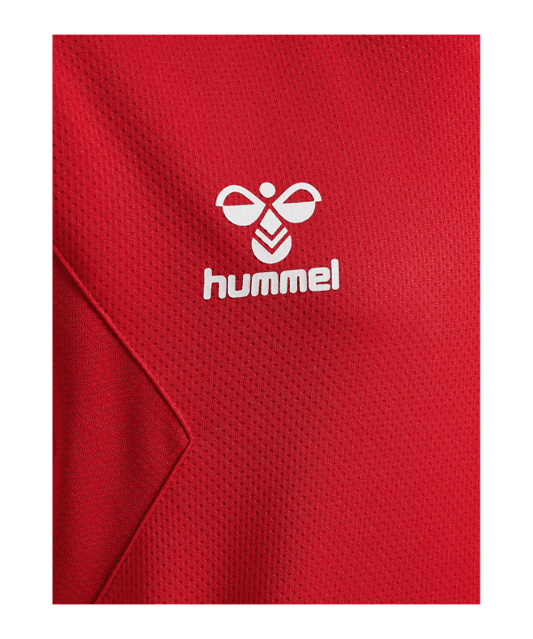 Hummel Authentic Pl Hoody Kids Rot F3062 - rot