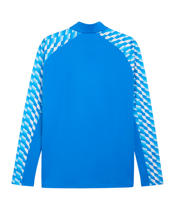 PUMA teamLIGA26 Training 1/4 Zip Top Blau F02