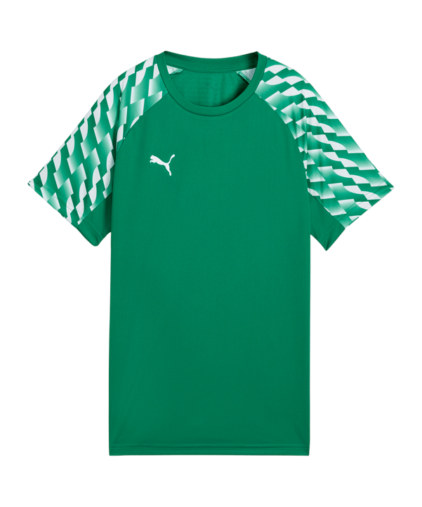 PUMA teamLIGA26 Trikot Kids Grün F05 - gruen
