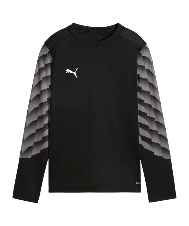 PUMA teamLIGA26 Torwarttrikot Langarm Kids Schwarz F03 - schwarz