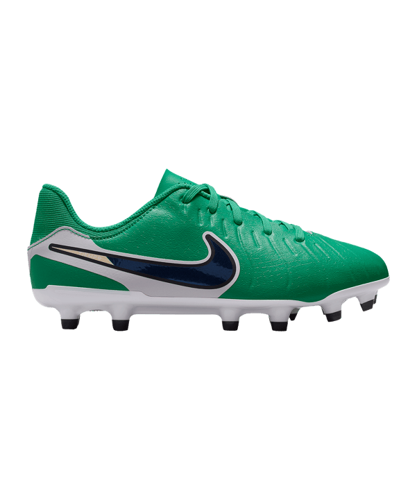 Nike Legend 10 Academy LV8 FG/MG Fear Nothing Kids Grün F300 - gruen