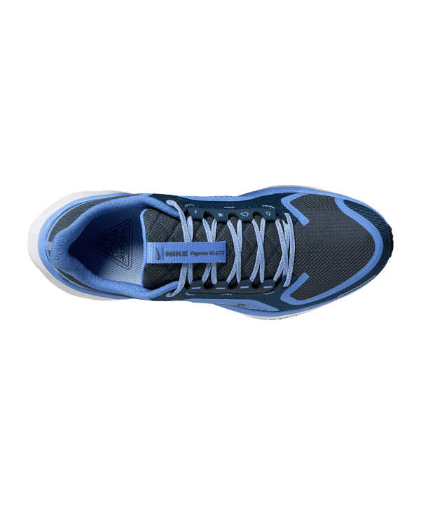 Nike Air Zoom Pegasus 41 GTX Laufschuh Damen Blau F400 - blau