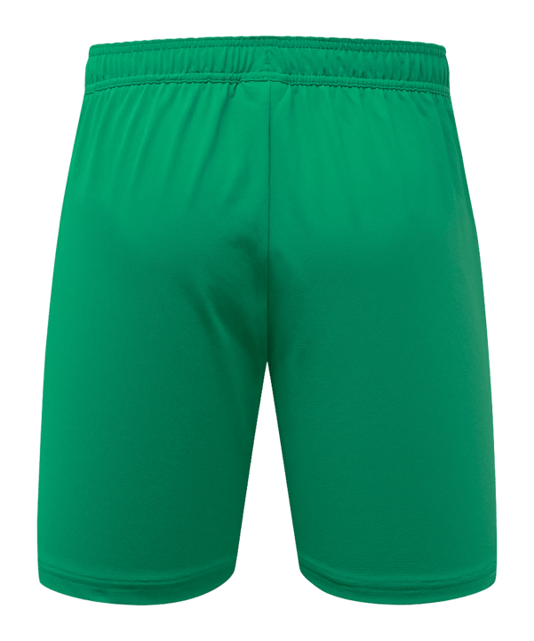 adidas Originals Fortuna Düsseldorf Torwartshort 2026/2027 Grün - gruen