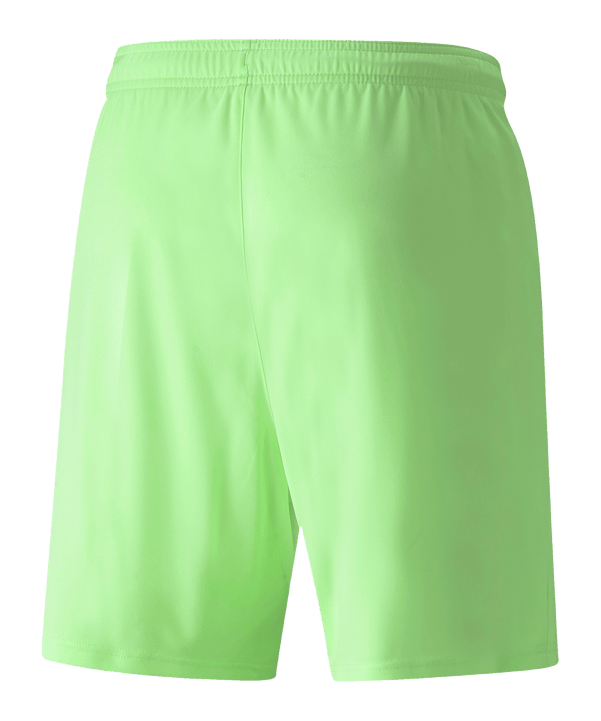 PUMA teamLIGA Short Grün Schwarz F20 - gruen