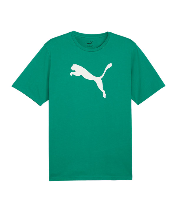 PUMA teamRISE Logo Trainingsshirt Grün F05 - gruen