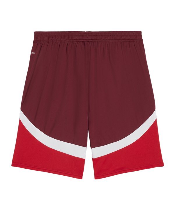 PUMA Schweiz Short EM 2024 Rot F03 - rot