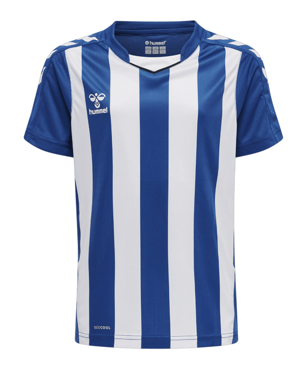 Hummel hmlCORE XK Stripped Trikot Kids F7691 - blau