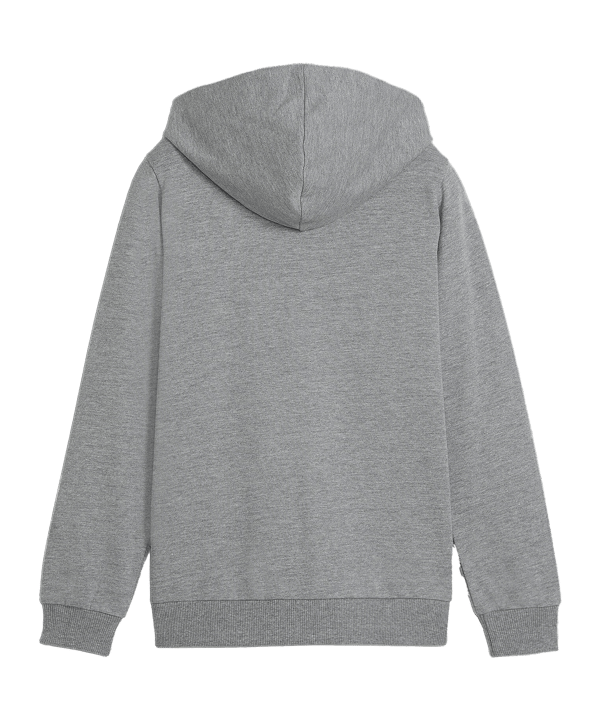 PUMA teamGOAL Casuals Kapuzenjacke Kids Grau F33 - grau