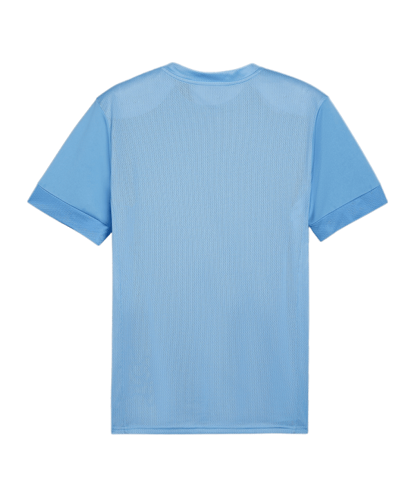 PUMA teamGOAL Matchday Trikot Blau Weiss F18 - blau