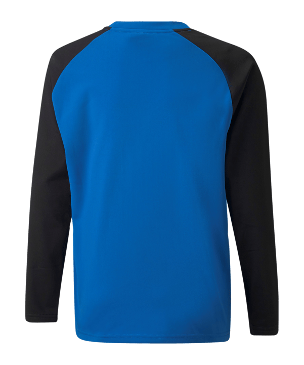 PUMA teamLIGA Sweatshirt Kids Blau F02 - blau