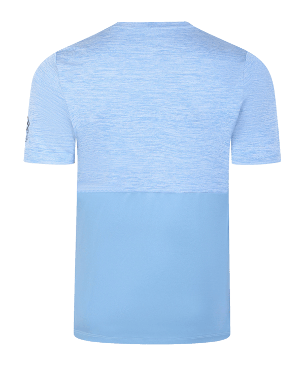 Umbro Pro Training Marl Poly T-Shirt FLKL - blau