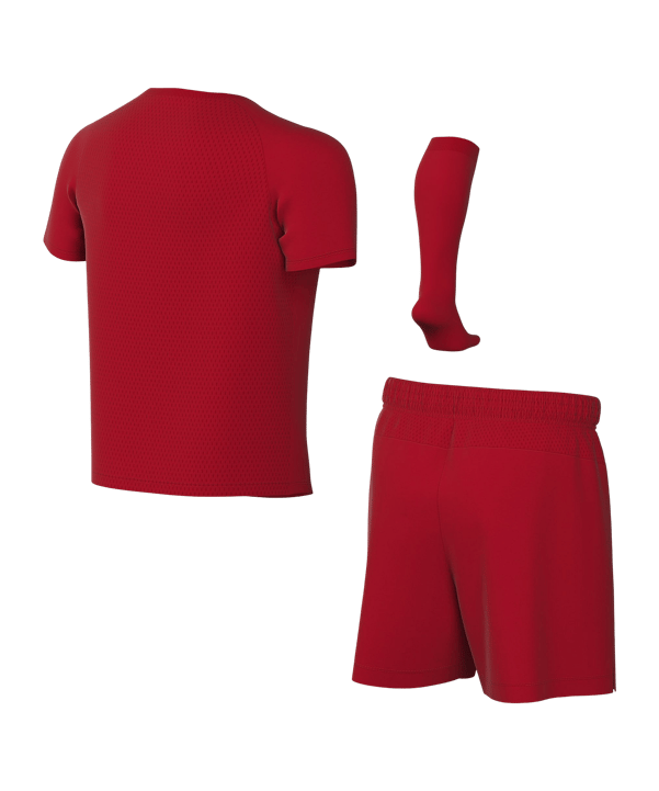 Nike Park VIII Trikot Set Kids Rot F657 - rot