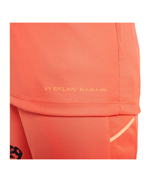 Nike Academy Erling Haaland Trainingshirt Kids - rot