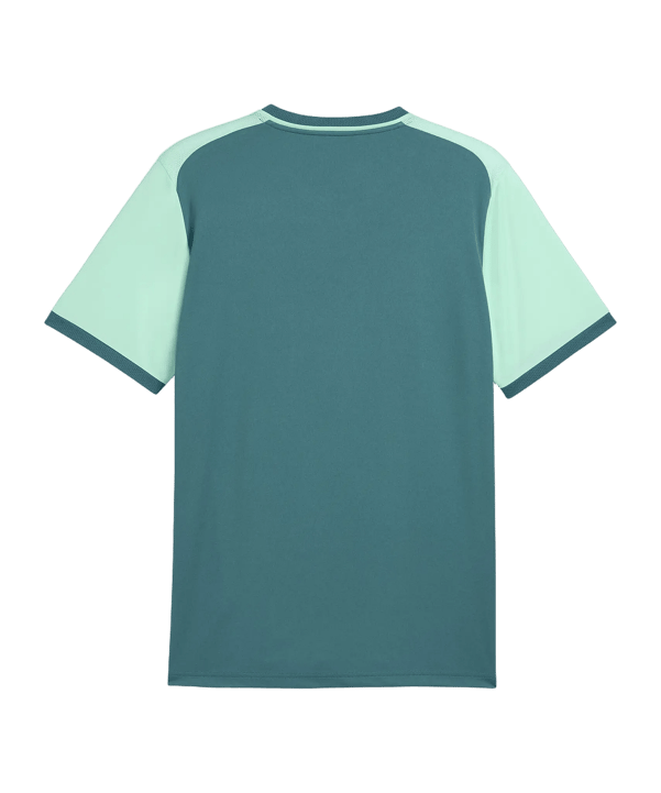 PUMA teamLIGA26 Matchday Trikot Grün F43 - gruen