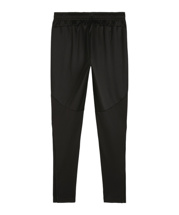 PUMA teamFINAL Trainingshose Schwarz F03 - schwarz
