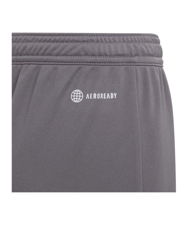 adidas Entrada 22 Short Kids Grau - grau