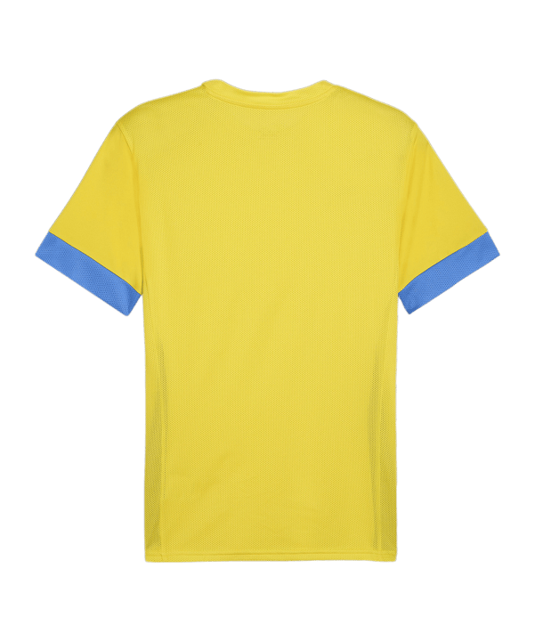PUMA teamGOAL Matchday Trikot Gelb Blau F17 - gelb