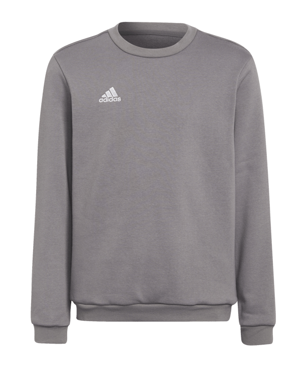 adidas Entrada 22 Sweatshirt Kids Grau - grau