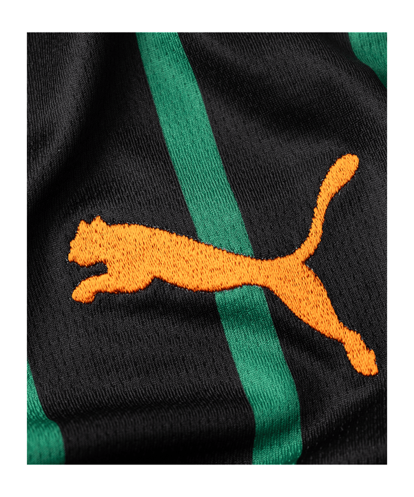 PUMA FC St. Gallen 1879 Trikot Away 2026/2027 Schwarz F02 - schwarz