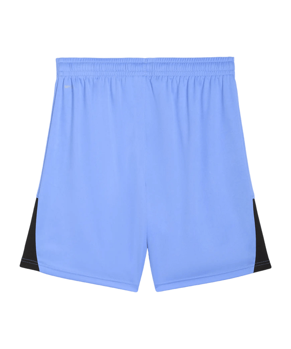 PUMA teamLIGA26 Short Blau F31 - blau