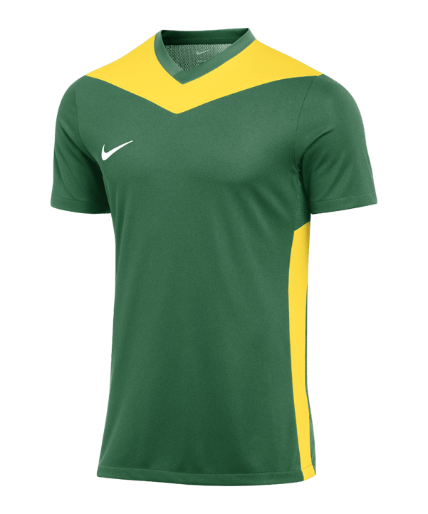 Nike Park Derby IV Trikot Grün Gelb F303 - gruen