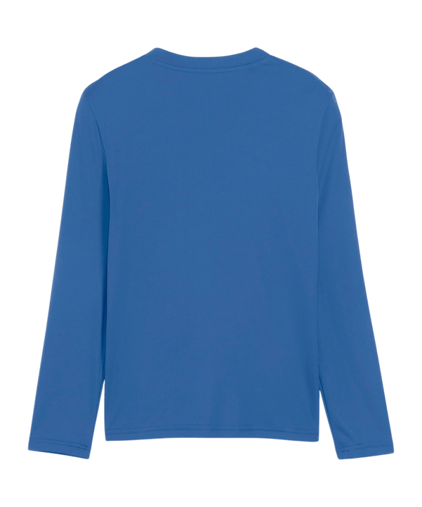 PUMA teamGOAL Baselayer Longsleeve Kids Blau F02 - blau